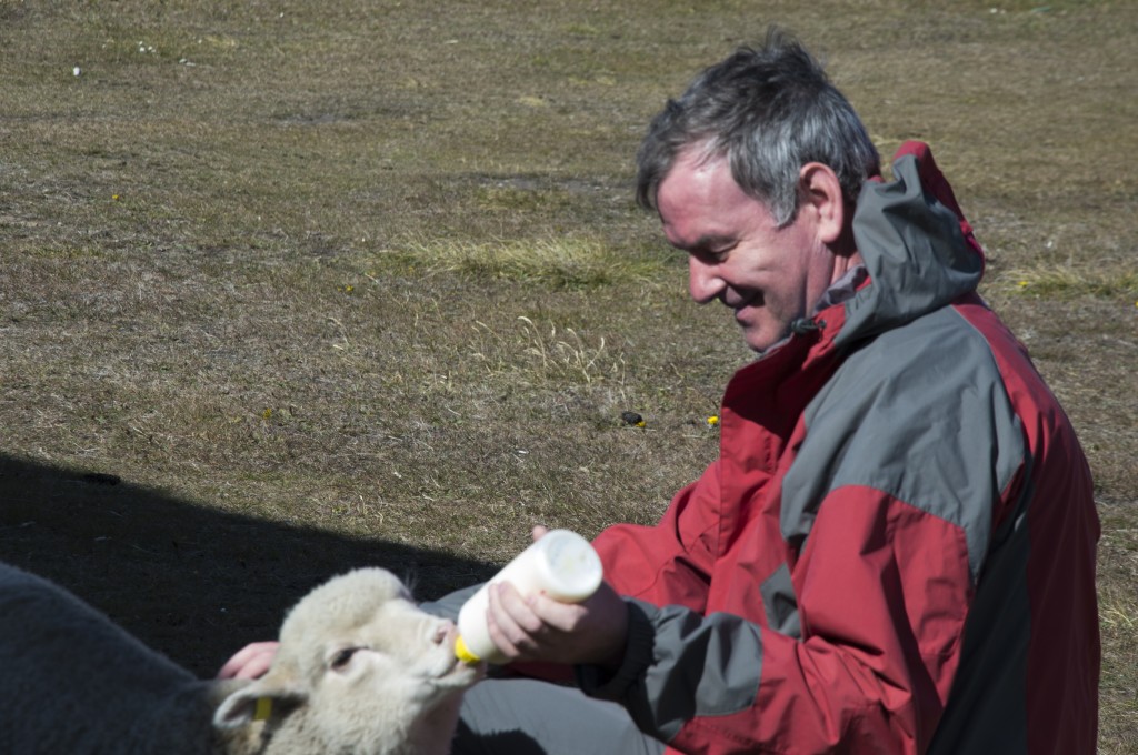 me feeding a lamb